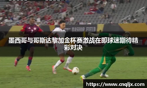 bsports官网入口