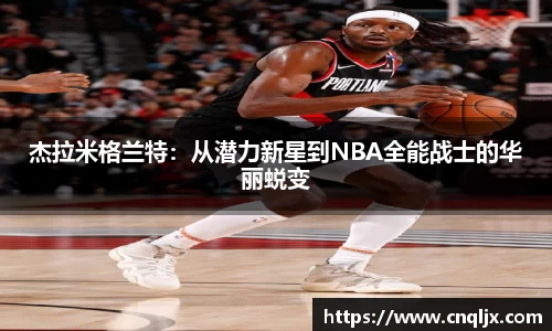 bsports官网入口