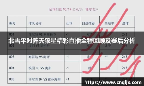 北雪平对阵天狼星精彩直播全程回顾及赛后分析